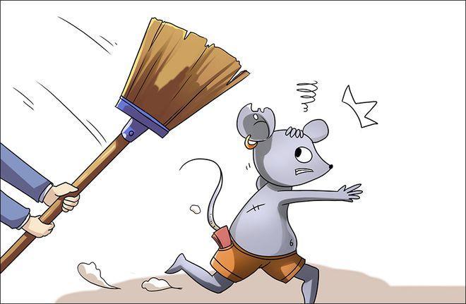 與老鼠作斗爭(zhēng)要掌握以下技能